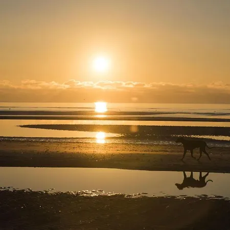 Haus-nordsee-whg-09 アパート